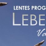 Lebens Vanity - Lentes Progresivos